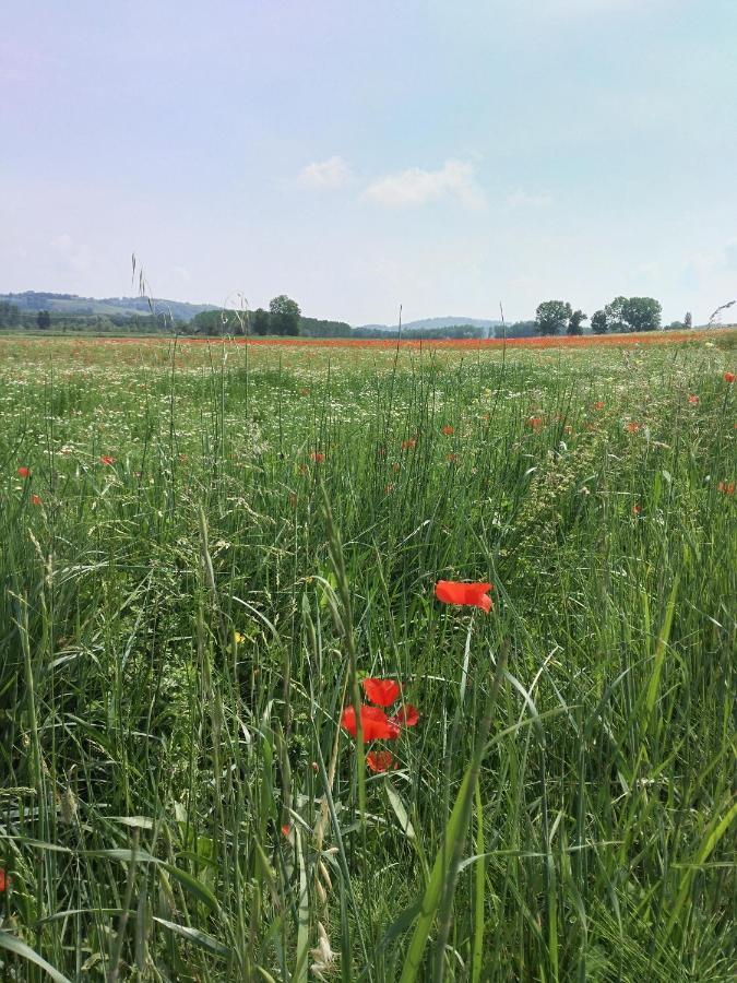 Bio Agriturismo Pratini Monte Lopio 외부 사진
