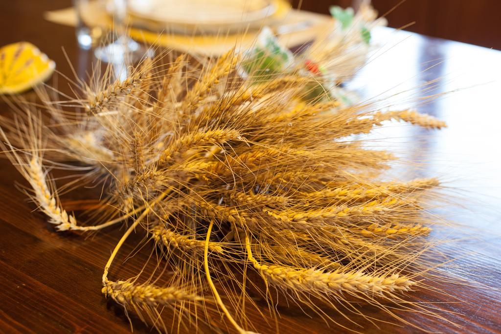 Bio Agriturismo Pratini Monte Lopio 외부 사진